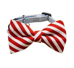 Adjustable Dog Collar with Striped Bow