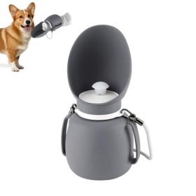Collapsible Water Bottle for Dogs