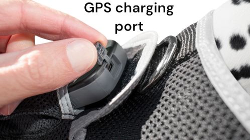 Track Your Pet with Rechargeable GPS Dog Collar GSM GPRS Mini Tracker Size:L