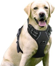 No-Pull Dog Harness with 2 Leash Clips (Color: Baby Blue, size: X-Large)