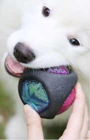 Squeaky Dog Chew Light Up Toy (Design: round)