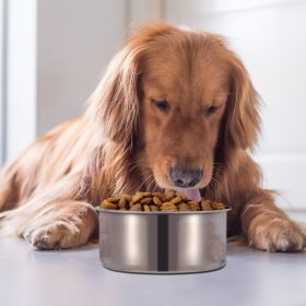 Stainless Steel Dog Bowl (size: L)