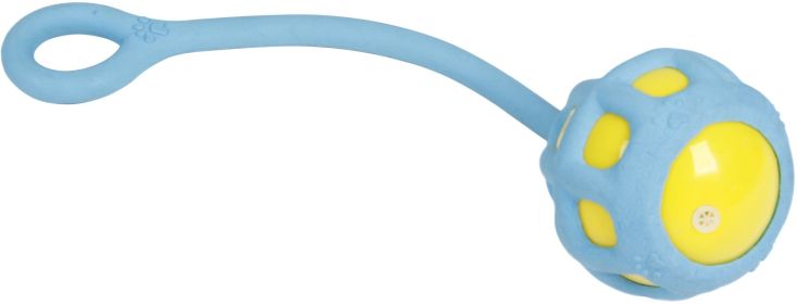 'Tug-O-Warp' Tugging and Chew Squeaking Toy (Color: Blue)